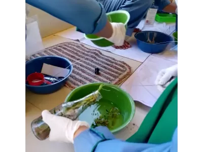 WhatsApp Image 2025-04-24 at 10