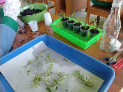 WhatsApp Image 2025-04-24 at 10