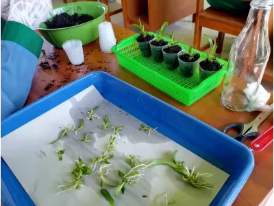 WhatsApp Image 2025-04-24 at 10