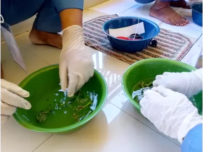 WhatsApp Image 2025-04-24 at 10