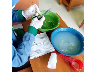 WhatsApp Image 2025-04-24 at 10