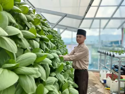 WhatsApp Image 2025-01-23 at 13